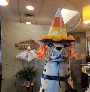 Талисман RMCC — леопард