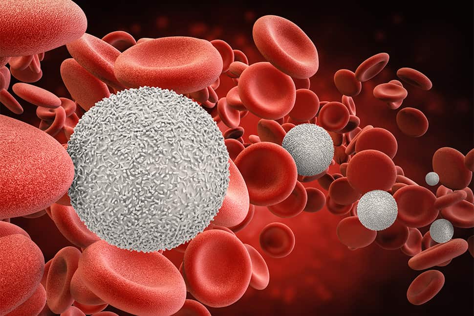 illustration of blood cells