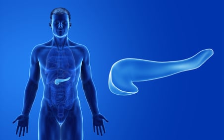 Una ilustración de la ubicación del páncreas dentro del cuerpo