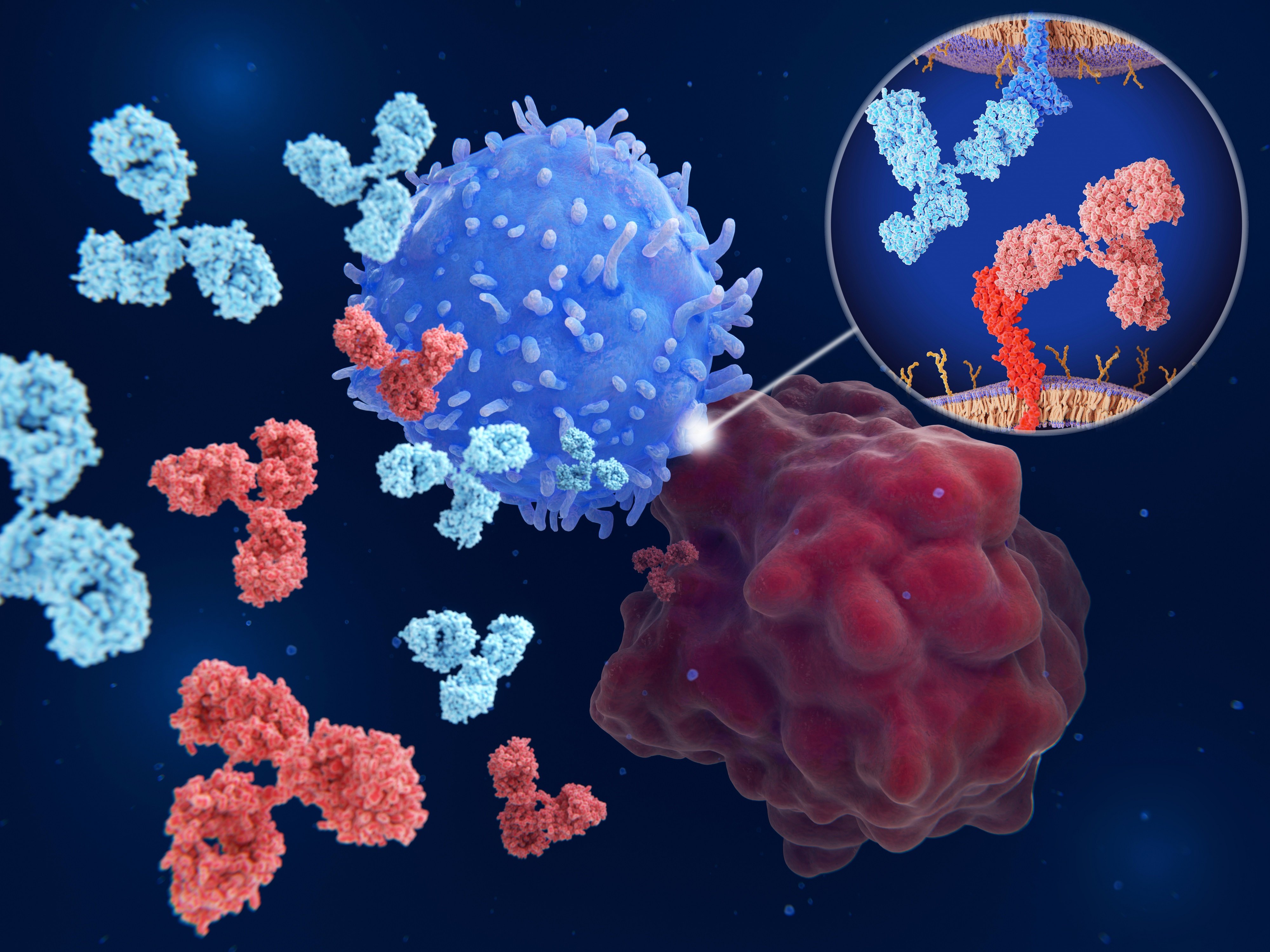 Los inhibidores de los puntos de control inmunitarios perfeccionan los regímenes contra el linfoma de Hodgkin
