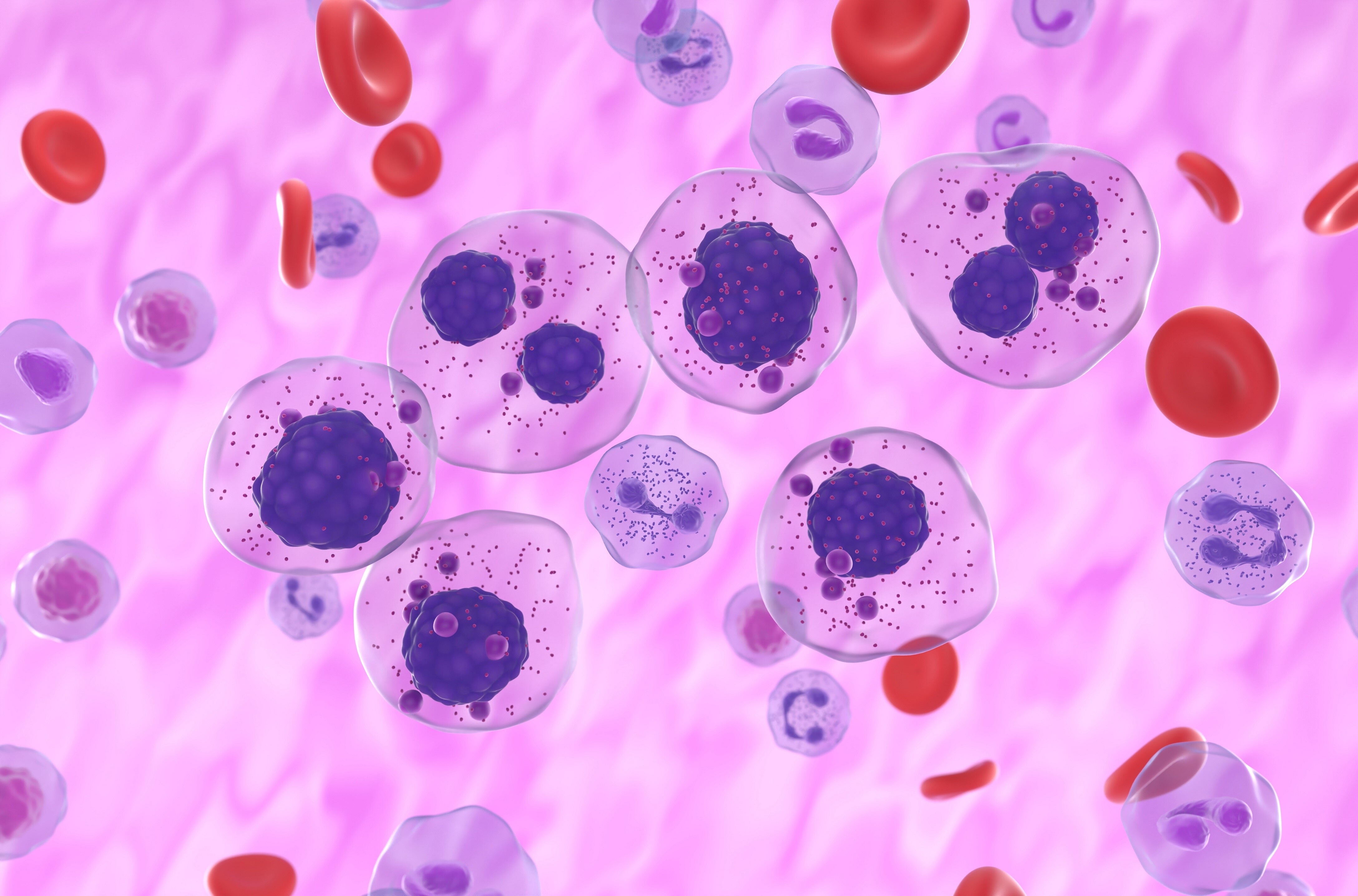 Regimen confers ‘clinically meaningful’ PFS benefit in relapsed multiple myeloma